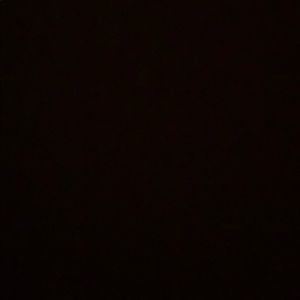 Meet your Posher, Paige